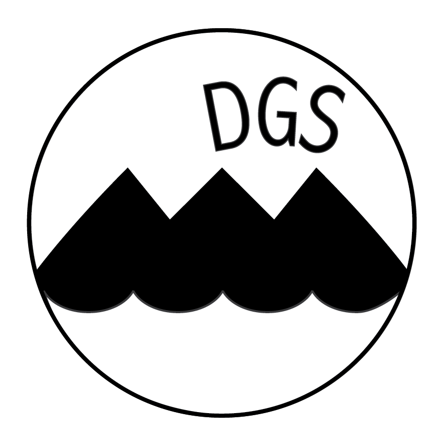 Final Logo Design