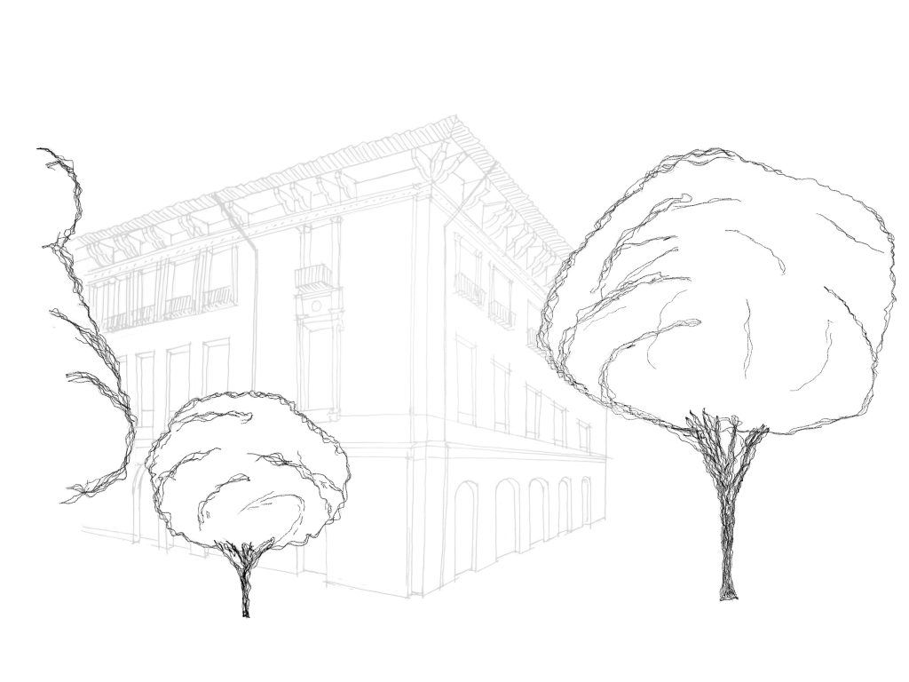 Detailed trees